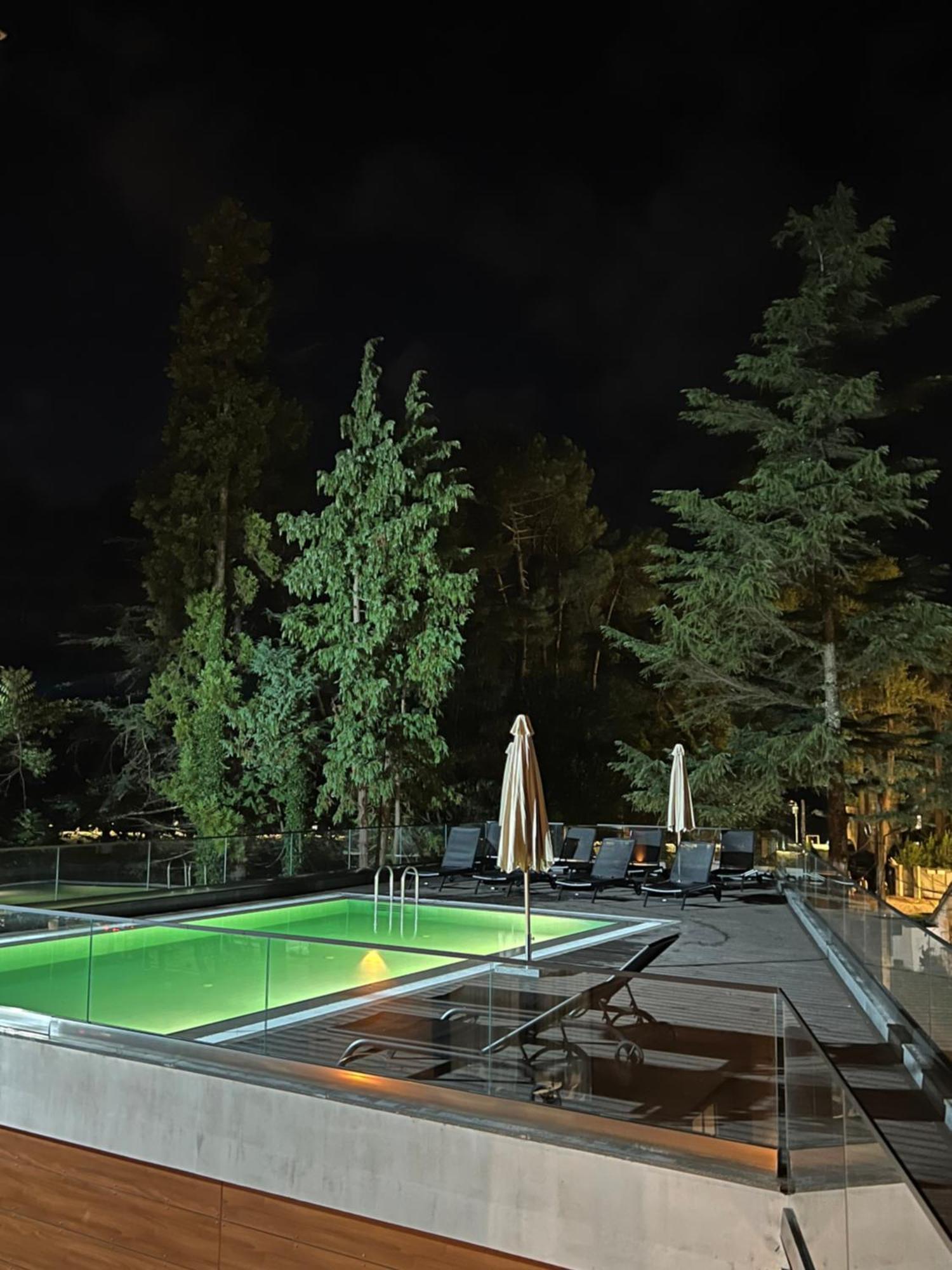 Ritsa Resort อูเรคี ภายนอก รูปภาพ